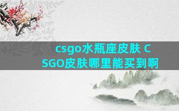 csgo水瓶座皮肤 CSGO皮肤哪里能买到啊